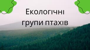 Презентація "Екологічні групи птахів"