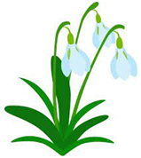 0401yoiy-c5f6-159x178.png
