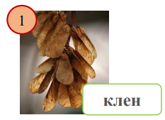 0401ypnb-8f0d-233x169.png