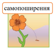 0401ypnk-0b7b-181x167.png