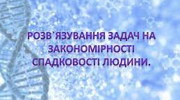 Розв’язування задач на закономірності спадковості людини