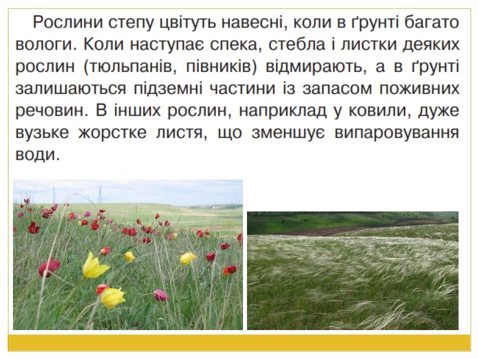 Природа Євразії : степи й пустелі | Презентація. Я досліджую світ