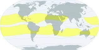 0401yqnt-0bc8-315x160.jpg