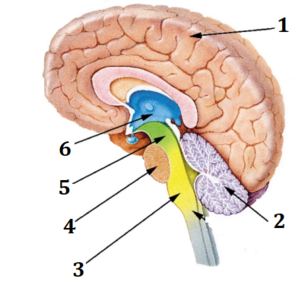 0401yqxu-129b-308x285.png