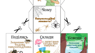 Куби Блума на тему "Клас Павукоподібні"