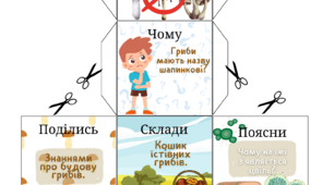 Кубик Блума на тему "Гриби"