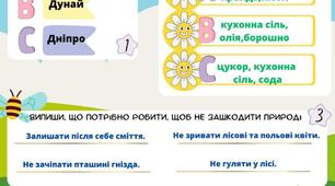 Контрольна (діагностична) робота 2 клас  з ядс «Повітря.Вода»