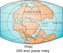 0401ysme-4567-206x173.png