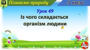Урок 49. Із чого складається організм людини