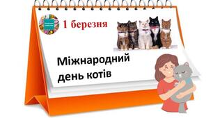 1 березня – Міжнародний день котів.