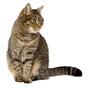 0401yumi-c190-88x88.jpg