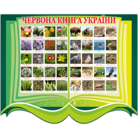 0401ywgf-0f98-279x279.png