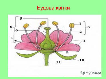 0401yyue-6be1-371x278.jpg