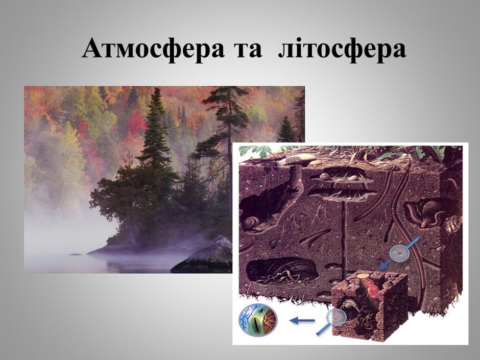 0401z2s4-8945-940x705.jpg