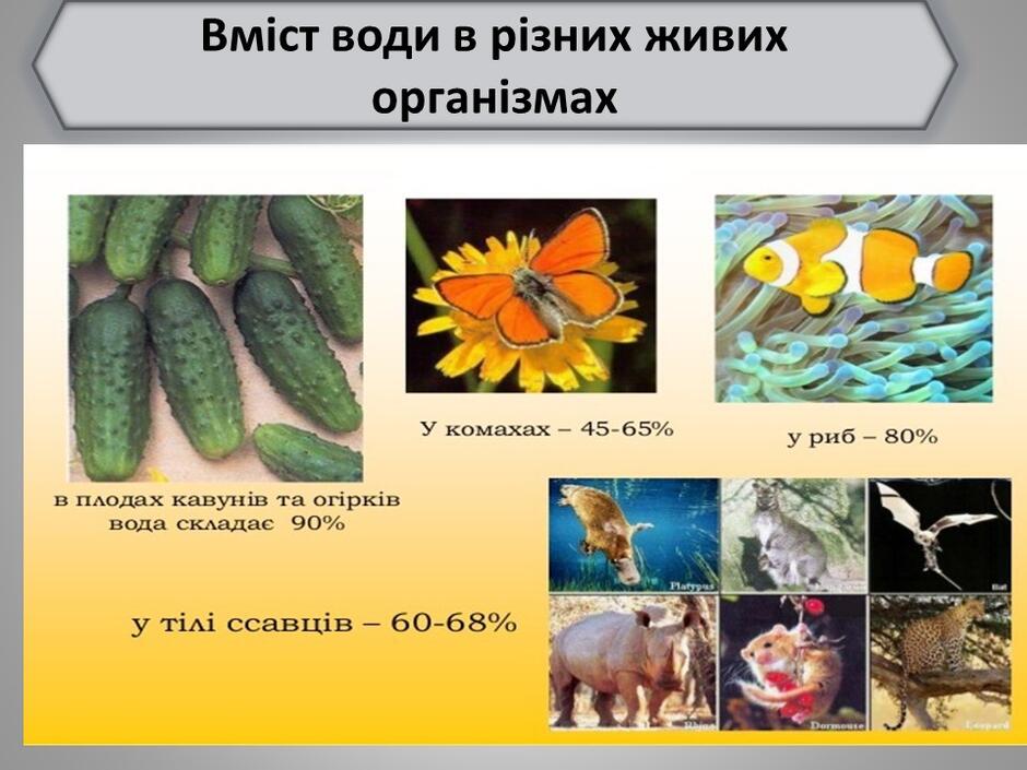 0401z2s7-9d93-940x705.jpg