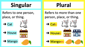 The Plural of Nouns