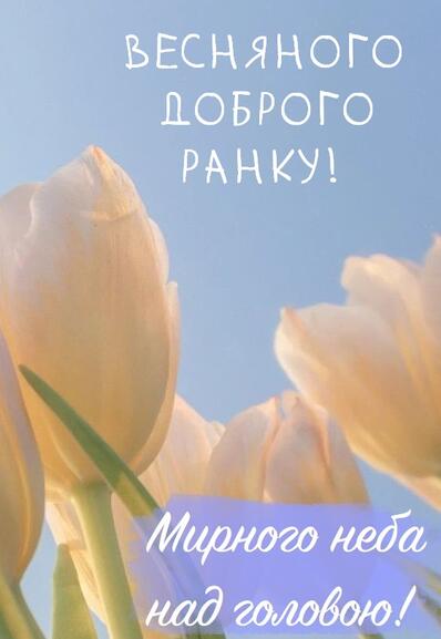 0401z8g0-ad2e-398x577.jpg