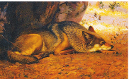 0401z8r5-f208-182x112.png