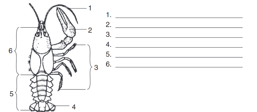0401z9zc-e4f1-866x377.png