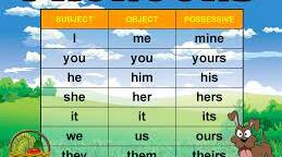 The Pronouns