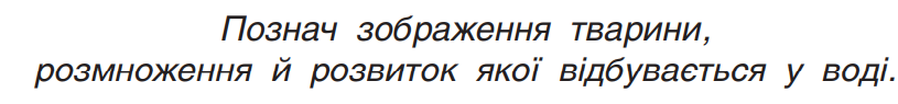 0401zcdj-58da-815x95.png