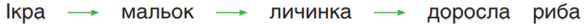 0401zckk-2533-585x25.png