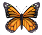 0401zczx-6e78-85x72.png
