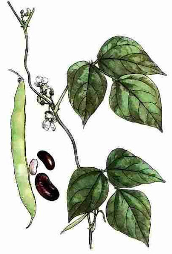 0401zdju-4b68-347x512.png