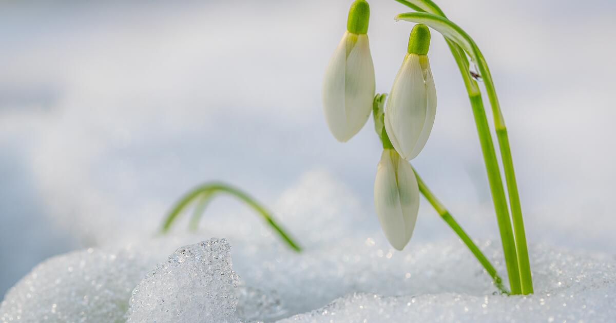 02.03.23