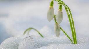 02.03.23