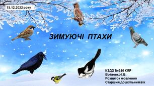 Презентація "Зимуючі птахи". Розвиток мовлення. Старший дошкільний вік