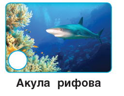 0401ze0e-7283-256x197.png