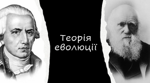 Презентація "Теорія еволюції за Ламарком, Дарвіном. Синтетична теорія еволюції"