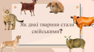 Як дикі тварини стали свійськими?