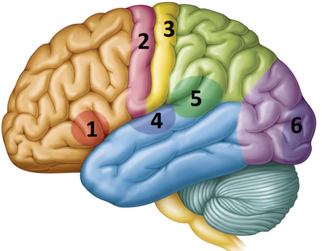 0401zfbp-4a3e-457x357.png