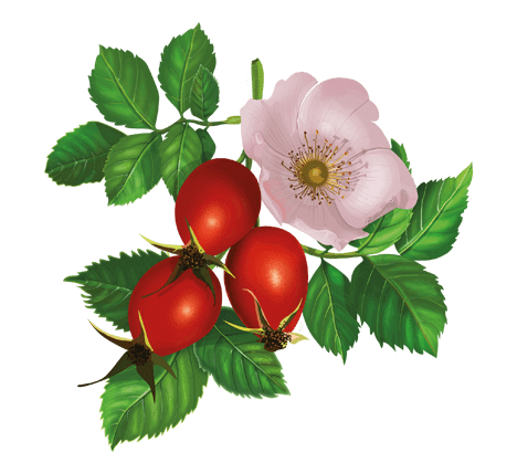 0401zfd7-ab3e-468x428.png