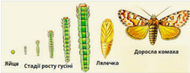 0401zhqb-4077-384x148.png