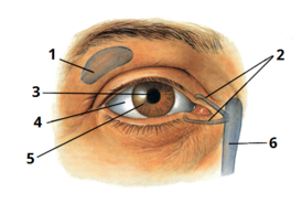 0401zi3e-e39a-274x184.png