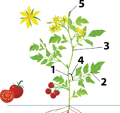 0401zilh-0fd0-226x213.png