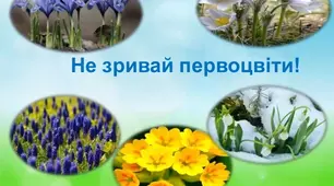 Знай і бережи первоцвіти!