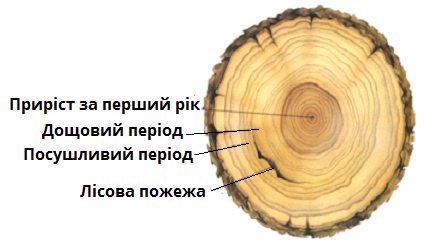 0401zj6o-9236-425x248.png