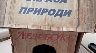 Проєкт "Птахи - окраса природи"