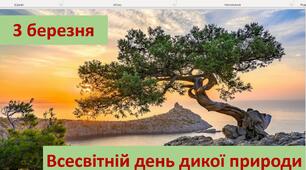 Презентація на тему "3 березня - День дикої природи"