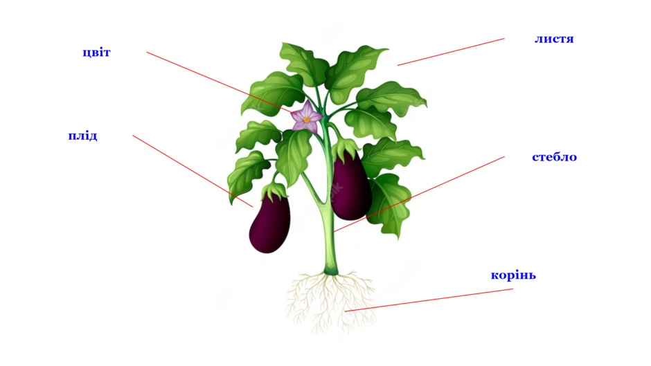 0401zp0a-fc2c-940x529.png