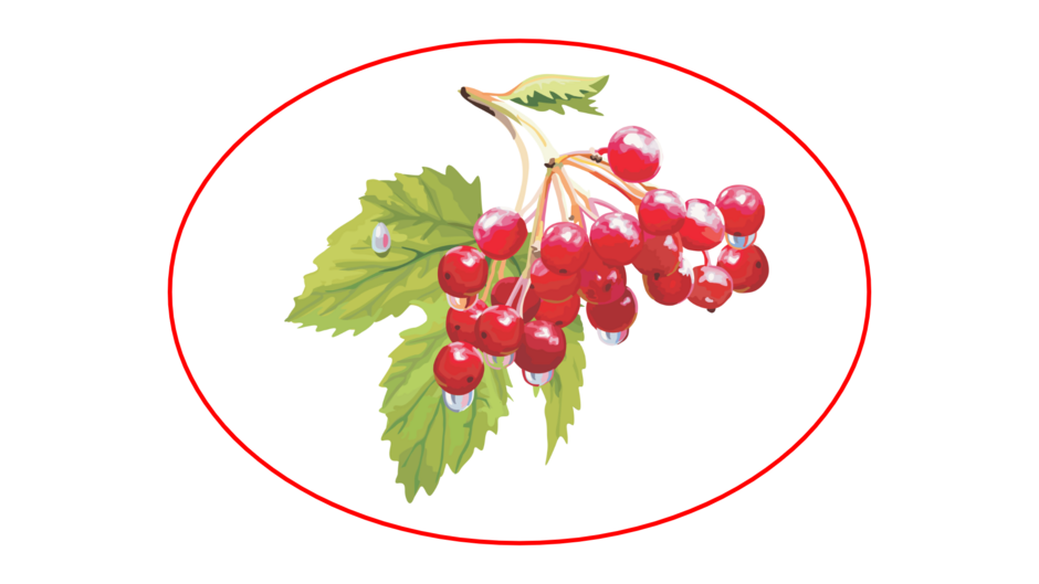 0401zp3i-a56d-940x529.png