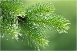 0401zq7e-4337-248x166.png
