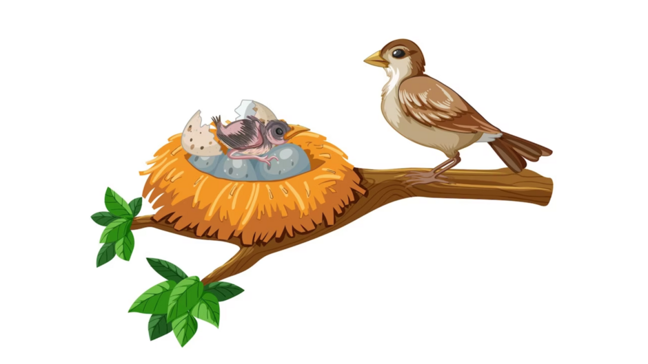 0401zt86-d38d-940x529.png