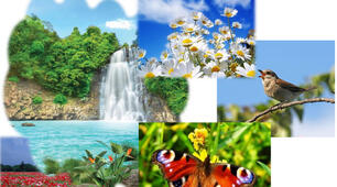 The world of nature