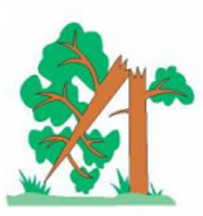 0401zxvq-6756-203x216.png