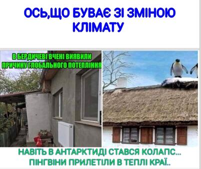 0401zxw7-4803-411x345.jpg